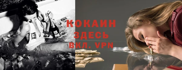 дмт Лиски