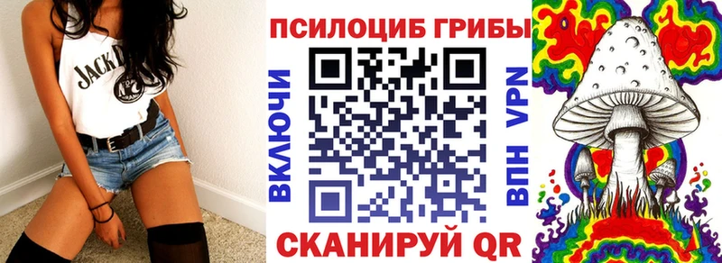 Псилоцибиновые грибы мухоморы  Купить закладки  Вичуга 